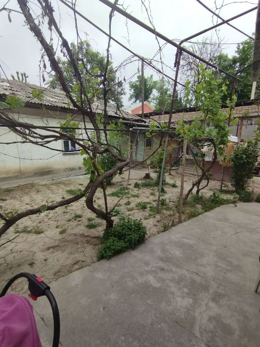 Срочно продается участок Мирабадский район улица инокобод свой.