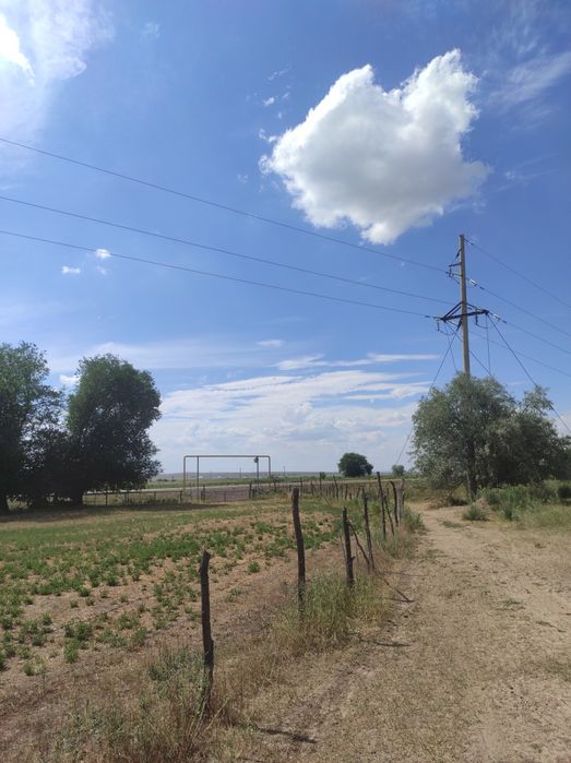 Срочно продам участок 12.5 га