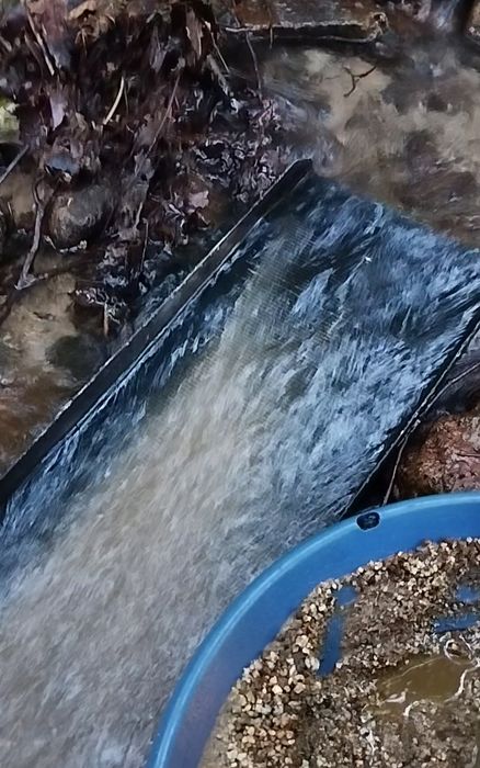 Улей за самородно злато