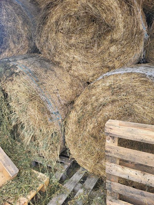 Vând baloți fân, fân amestec cu lucernă.