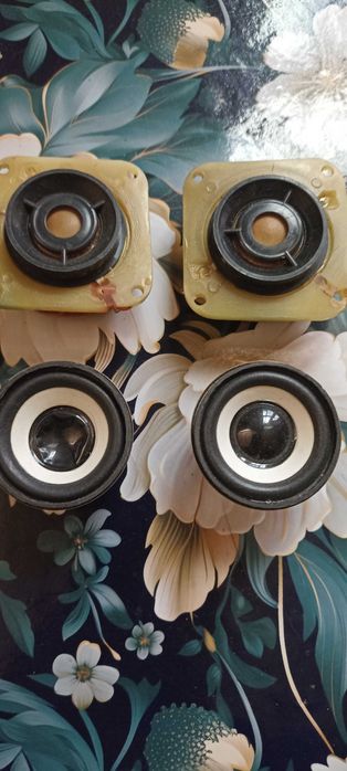 Динамики разные 10ГД-34, пишалки