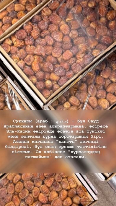 Құрма Суккари свежий