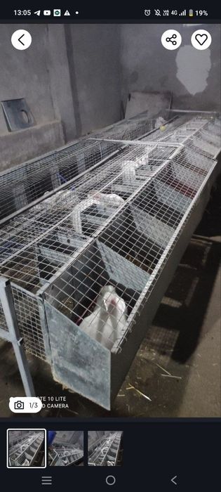 Quyon qafas sotiladi