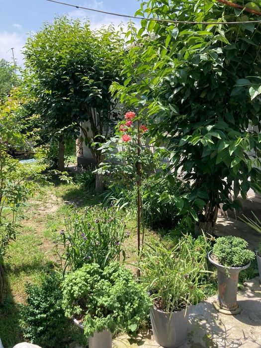 Сдам дом! Для семьи!