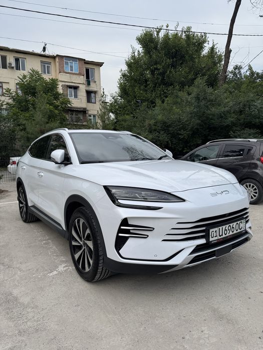 Byd Song plus gibrid 2024