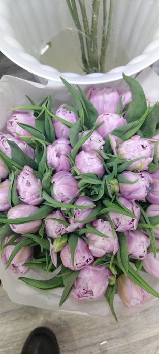 Тюльпаны оптом по очень 450 тг