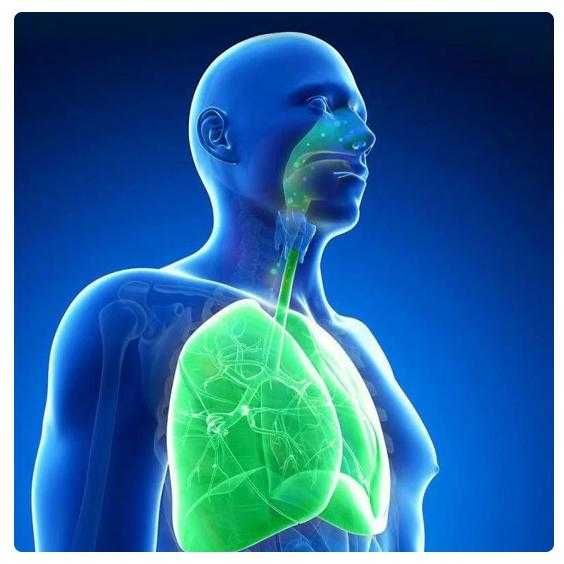 Йонен ВъздухПречиствател Йонизатор Лична Защита Против Вируси Бактерии