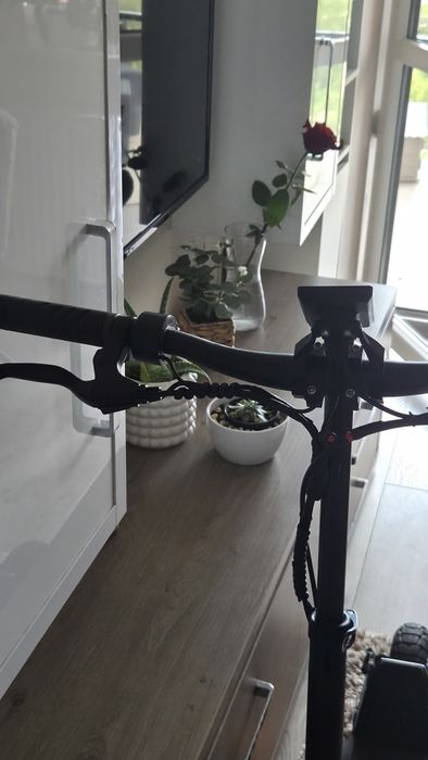 Trotinetă Electrică Motus Pro 10