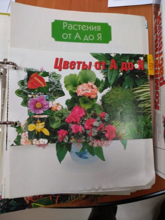 каталог по уходу за цветами