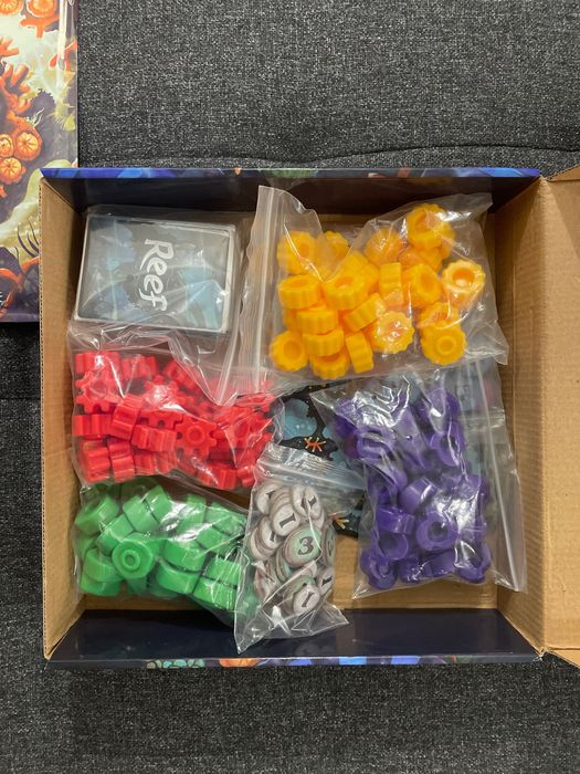 Reef бордова игра