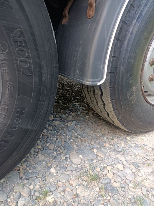 Мошинга жавоб юриши зур