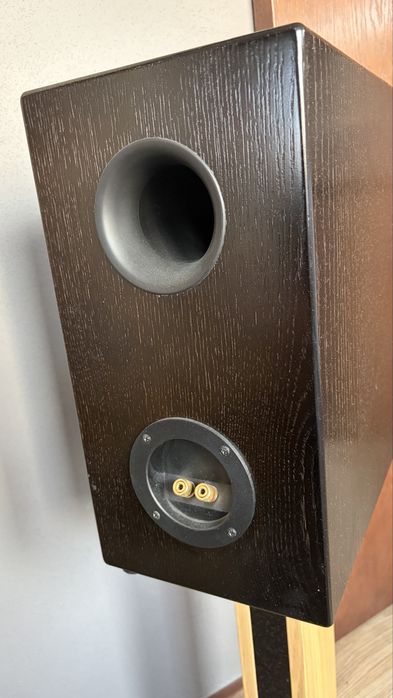 Exproject D2.1ex - Swans D2.1