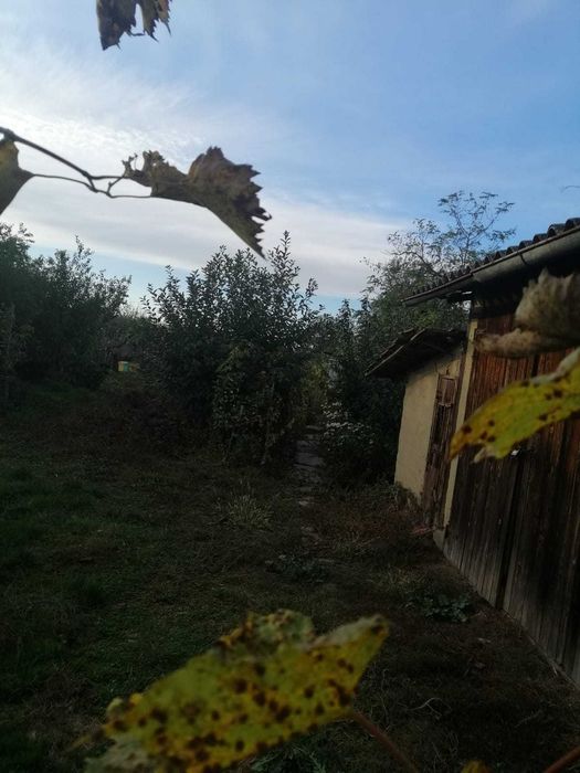 Terenuri intravilan de vanzare in Sinesti, Ialomita
