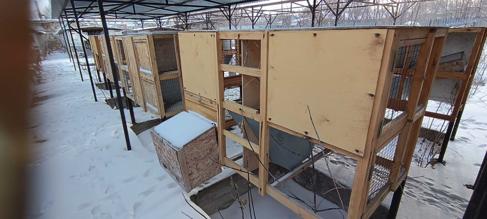 Клетки для откорма птицы с бункерной кормушкой