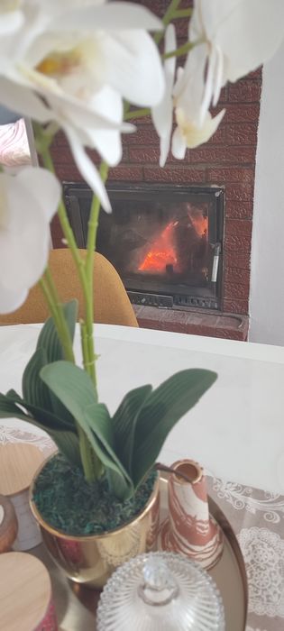 Cabana  "Calbor 48" cu ciubar