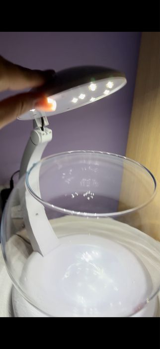 Acvariu de 7 l luminat