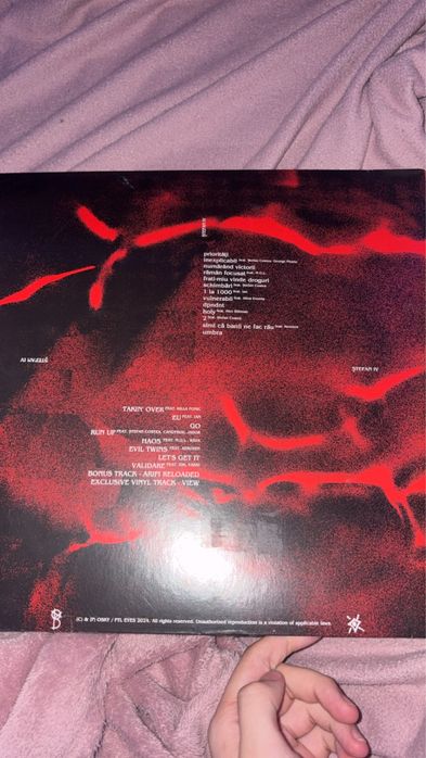 Vinyl Ștefan IV