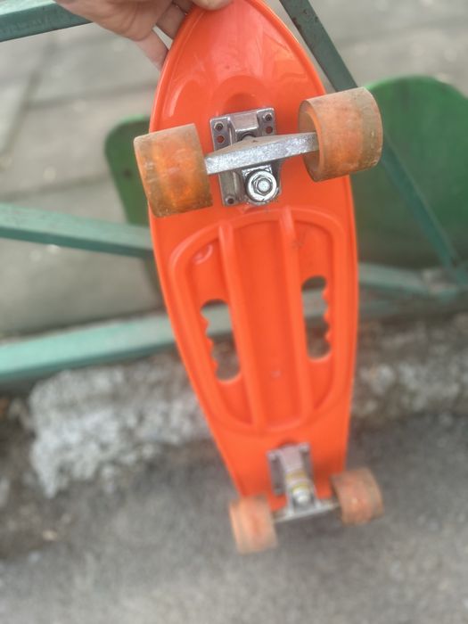 Пинеборт большой