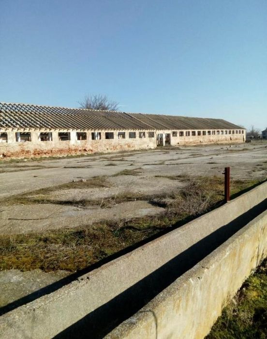 Продава се Склад в Шабла - 5000 кв.м за 21 €/кв.м - Снимка #1