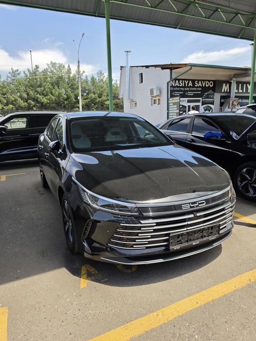 BYD Chazor 3  позиция 120 талик
