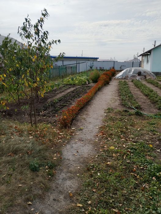 Частный дом в Байтереке