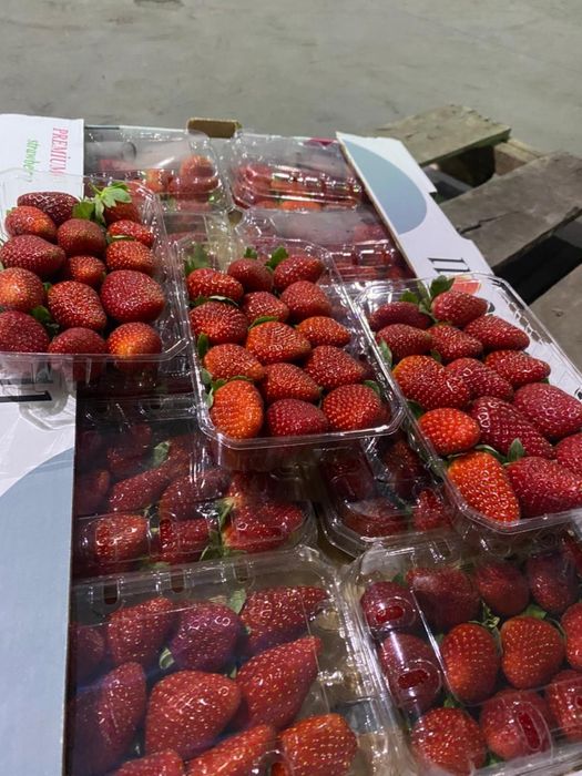 Клубника Египетская