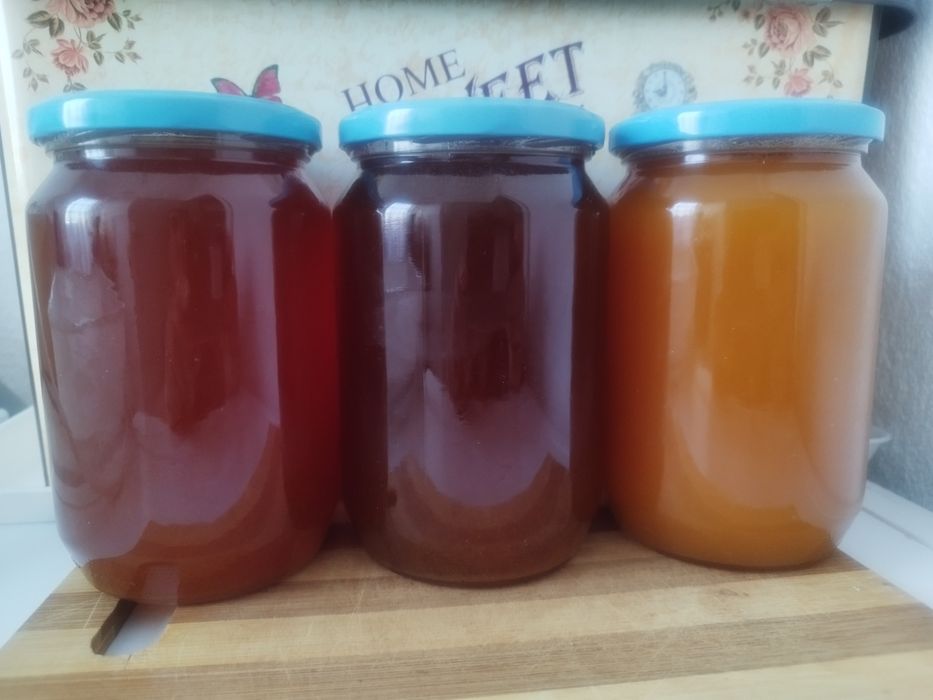 Продавам натурален полифлорен пчелен мед мана + магарешки бодил