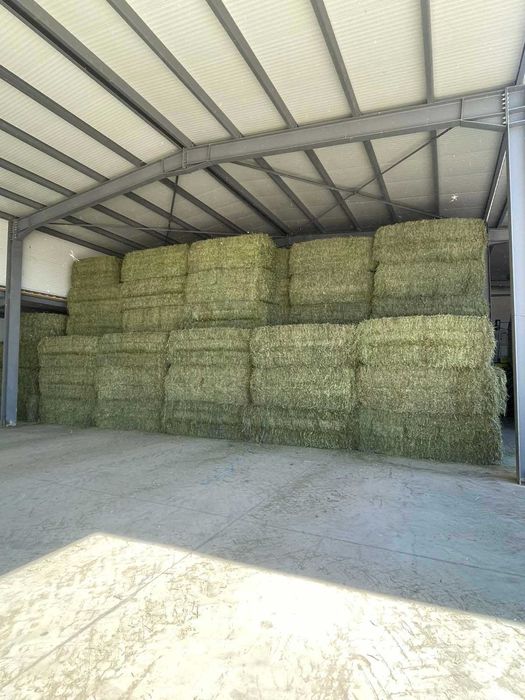 Големи бали люцерна