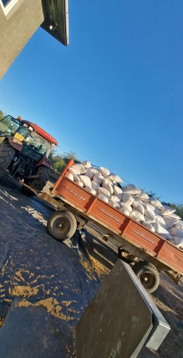 Vând graunte porumb