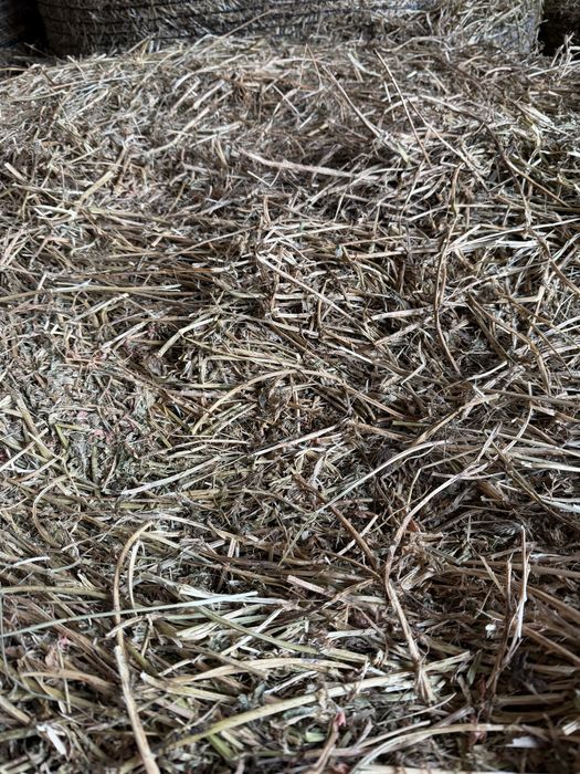 Baloti de ovaz+lucerna