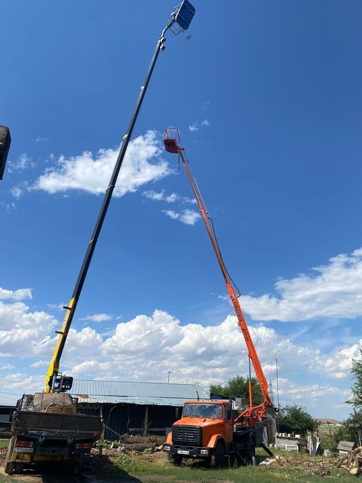 Спил вывоз выкарчёвка деревьев