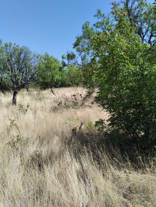 Продава се Парцел в Асеновград - 2201 кв.м за 28 €/кв.м - Снимка #4