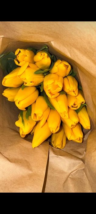 Тюльпаны на 8 марта