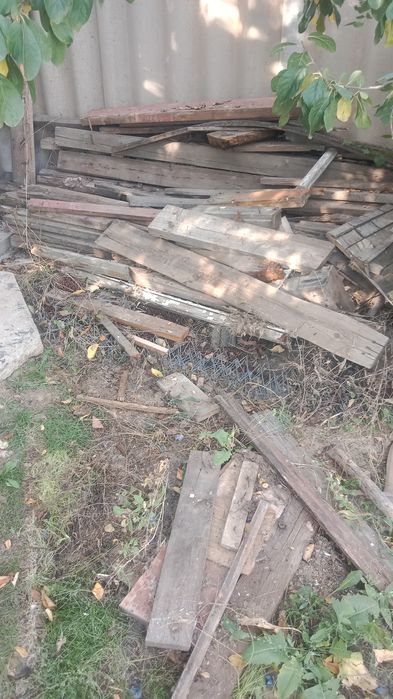 Тегін беремін ағаштарды