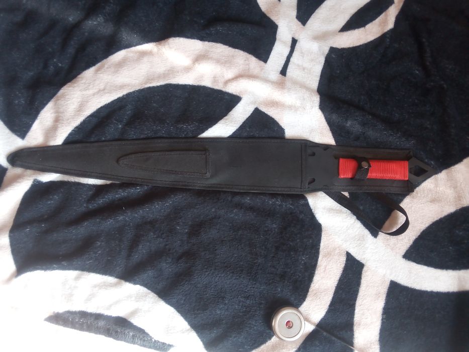 Sabie Ronin, noua, fara probleme