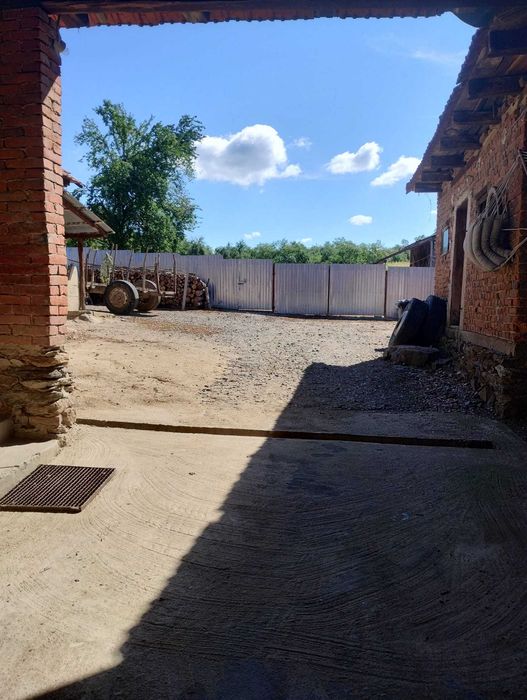 Casa sat Drinova 15km de lugoj.