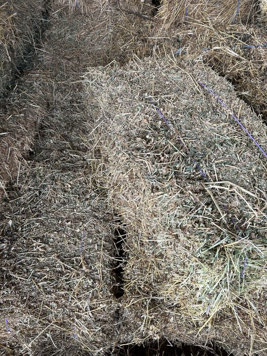 Baloti de lucerna calitatea 1