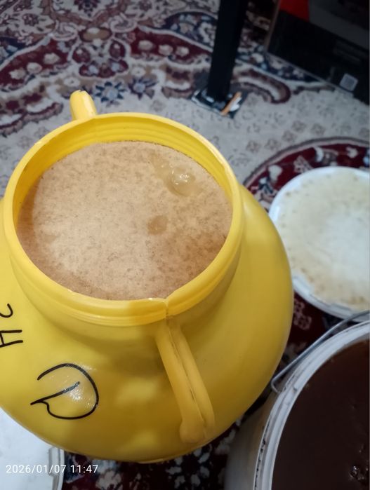 Qirgiziston tabiy asali