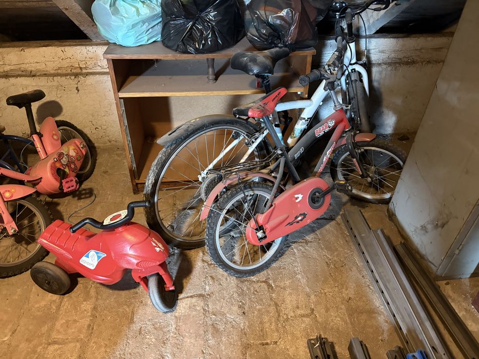 Biciclete trotinete copii