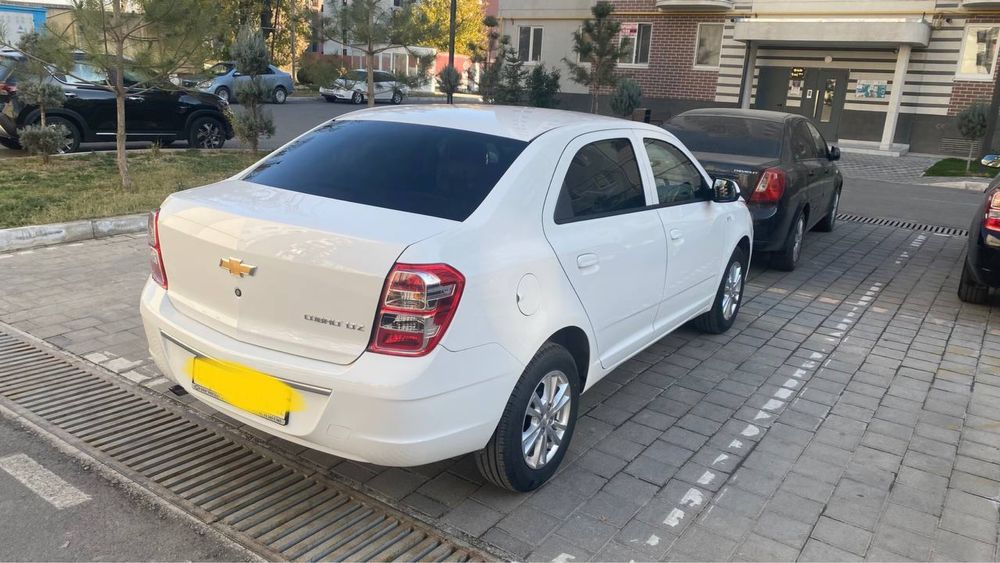 Cobalt 2024/25 G-style