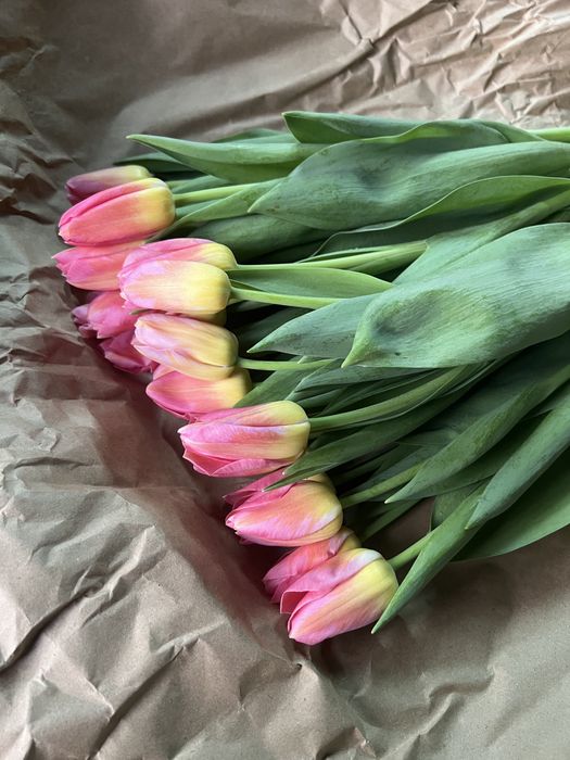 Продажа тюльпанов оптом к 8 марта