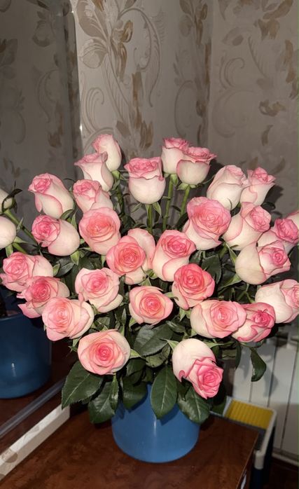 Цветы роза за 18 000