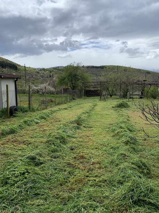 Рязане на дървета,косене на трева.