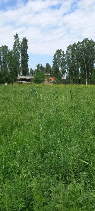 Boʻstonliq tumanidagi Aydarali qishlogʻida uy yaxlit eri b.n sotiladi