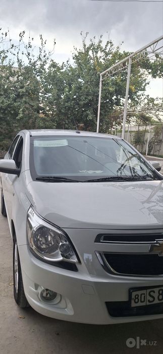 Cobalt avtamat idealniy buxoro peshku