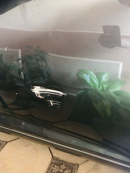 Spark shevrolet Spark Full