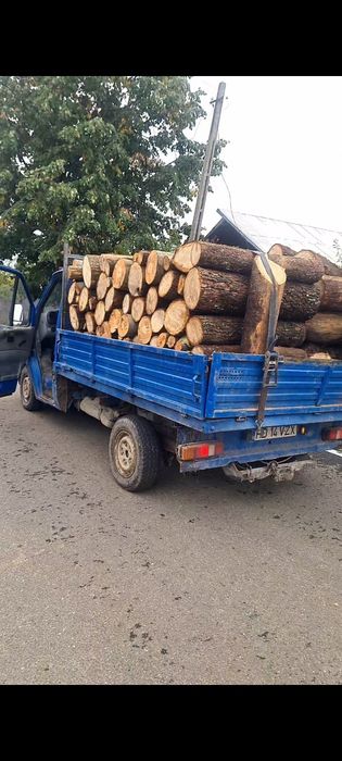 Vand lemne transport gratuit