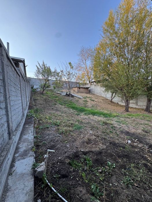 Chimgan yetmasdan yer sotladi