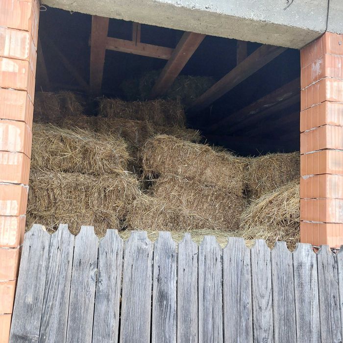 De vânzare baloti dreptunghiulari 2025