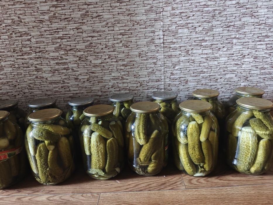 Продам соленые огурцы